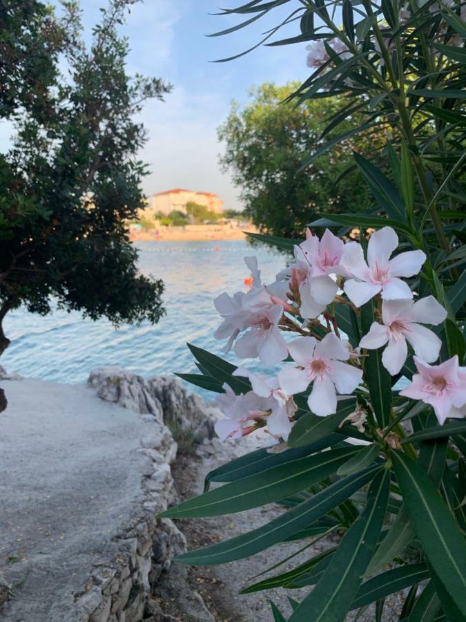 Apartment Milano Rogoznica (Sibenik-Knin)